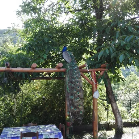Casetta Del Pavone Σπίτι διακοπών Borghetto d'Arroscia